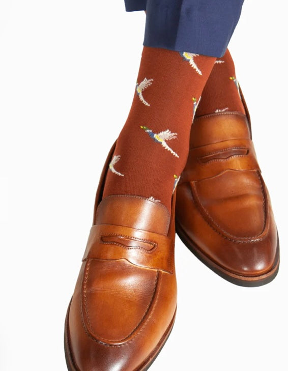 Dapper classics whiskey and tan pheasants sock