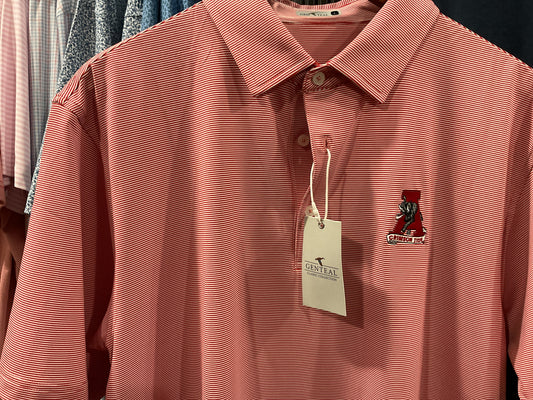 Genteal Alabama red stripe polo